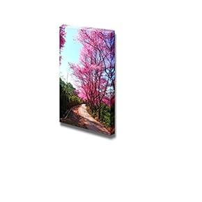 Cherry Blossom Pathway in Chiangmai Thailand Wall Decor