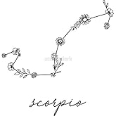 Scorpio Zodiac Wildflower Constellation - Sticker Graphic - Auto, Wall, Laptop, Cell, Truck Sticker for Windows, Cars, Trucks