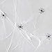 Halloween Haunters Super Stretch Spider Web Cobweb with 6 Black Spiders Prop Decoration - 100 Grams of Spooky Realistic Webbing Covers 400 Square Feet - Use in Yard, Entryway, Haunted House Graveyard