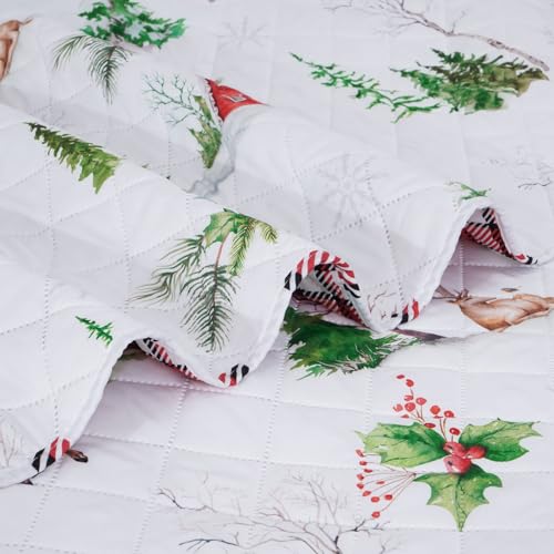 FRAMICS 3 PIECE CHRISTMAS REVERSIBLE QUILT SET QUEEN SIZE, RED PLAID LIGHTWEIGHT COMFORTER SET, GREEN WATERCOLOR PINE TREE REINDEER SNOWHOUSE CHRISTMAS QUILT, 90″ X 90″, 1 QUILT+2 PILLOW SHAMS