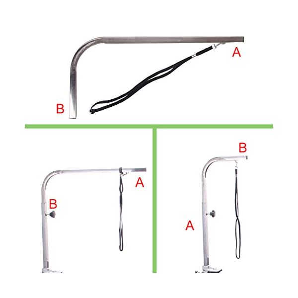 Adjustable General Master Equipment Portable Dog Grooming Table Arm