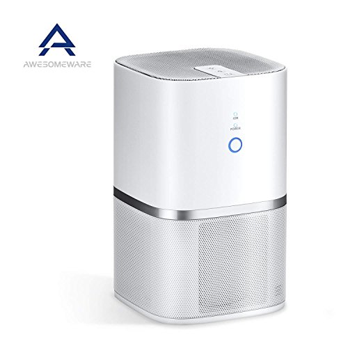 Top 10 Best Electrostatic Air Purifiers of 2018 Review Any Top 10