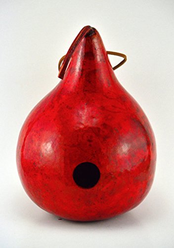 Gourd Birdhouses Painted Gourd Art Garden Art Bird Lovers Gift or Mothers Day Gift - 3 Gourd Combo