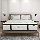 Suiforlun 14 Inch Euro Top Gel Memory Foam and