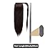 Ponytail Human Hair Clip Extensions - 24