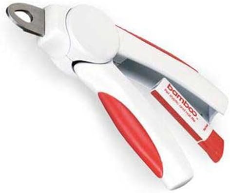 all mutts matter foundation