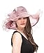 Saferin Lady Tea party Kentucky Derby Church Wedding Dress Church Hat Bridal Shower (SF4-Dark Pink)