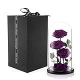 Preserved Real Rose Handmade Eternal Rose in Glass Doom Gifts for Her Valentine's Day Mother's Day Anniversary Birthday (3 Purple Rose)
