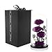 Preserved Real Rose Handmade Eternal Rose in Glass Doom Gifts for Her Valentine's Day Mother's Day Anniversary Birthday (3 Purple Rose)