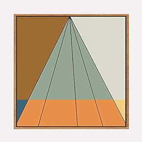 Framed for Living Room Bedroom Beautiful Watercolor Birds for