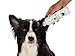 BotaniVet Ear Cleaner 8 Oz - 100% Natural Ingredients - Made with Certified Organic Oils and Silver - Veterinary Dermatologist Formulated for Dogs and Cats with Ear Problems