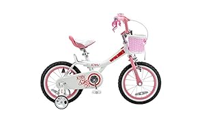 Royalbaby Jenny & Bunny Girl's Bike, 12-14-16-18 inch wheels, three colors available