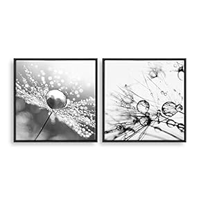 2 Piece Framed Home Artwork Transparent Flower for...