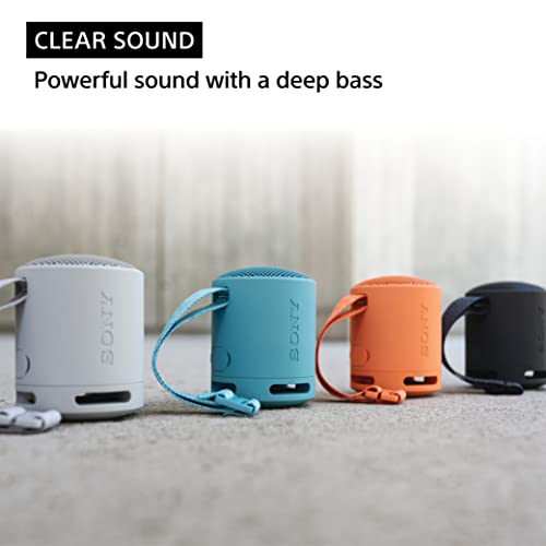 SONY SRS-XB100 WIRELESS BLUETOOTH PORTABLE LIGHTWEIGHT SUPER-COMPACT TRAVEL SPEAKER, DURABLE IP67 WATERPROOF & DUSTPROOF SHOWER SPEAKER, 16 HOUR BATTERY, VERSATILE STRAP, & HANDS-FREE CALLING, BLACK
