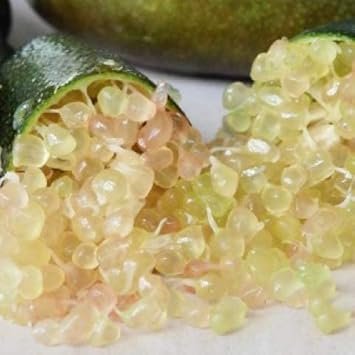 Amazon フィンガーライム 苗木 アトラシカ 2年生 接ぎ木苗 果物