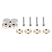 LuckIn 5/8 inch Cap Mirror Nail, Stainless Steel Advertising Nails Screw Fasteners Hardware Kits, 20pcs