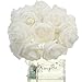 KINGSO 20 LED Battery Operated Rose Flower String Lights Wedding Garden Christmas Decor (White)