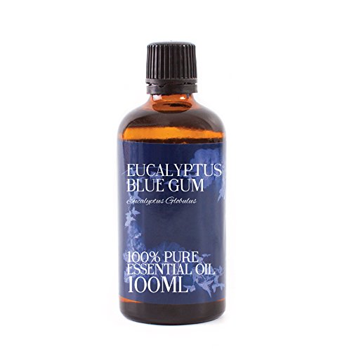 Mystic Moments | Eucalyptus Blue Gum Essential Oil - 100ml - 100% Pure
