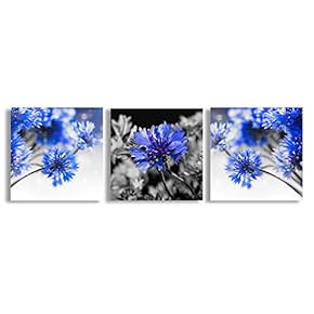 Canvas Wall Art Beautiful Flowers Collage Painting Artwork for Home Prints Framed - 12"x12"x3 Panels
