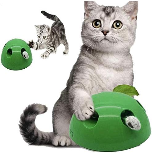 Light Home Jouets De Chat Electrique N Play Motion Jouet Interactif Pour Chat Interieur Jeu Chat Interactif Chaton Attraper La Souris De Jeu Jouet Interactif En Peluche Vert Amazon Fr Animalerie