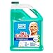 PACK OF 6 - Mr. Clean Meadows & Rain Multi-Surface Cleaner with Febreze, 128 fl oz
