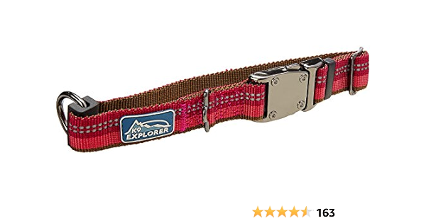 k9 explorer collar