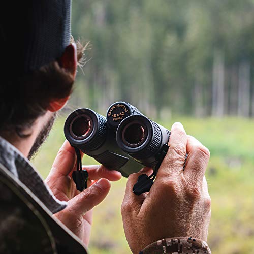 Leupold BX4 Pro Guide HD 10x42mm Binoculars Pricepulse