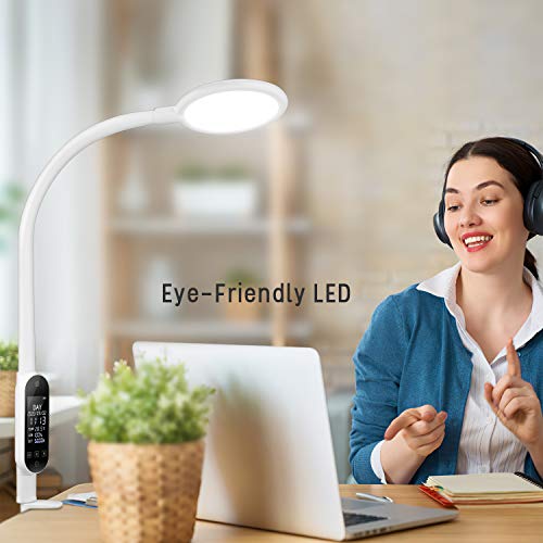 BZBRLZ LED Desk Lamp, 15W Metal Clamp Light with LCD Display, 5