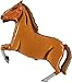 Strong Brown and White Horse 43