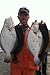 Jigging world 2 Pack Fluke Candy Teasers with 5/0 Hook