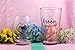 The Plympton Company Cute Wedding Gifts - Bride and Groom Novelty Wine Glass and Beer Glass Combo - Engagement Gift for Couples