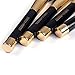 ISABELLA PHANTOM 9 Pcs Shinning Ferrule Makeup Brush Set with Designer Case (black) for Women