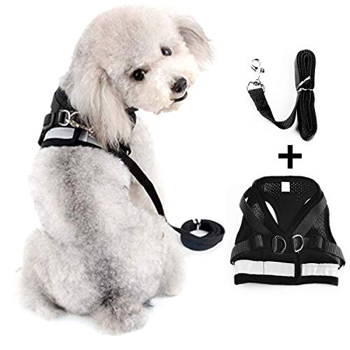 Kamots Beauty Escape Proof Cat Harness and Leash for Walking Adjustable Soft Mesh Pet Vest with Lead for Kitten -(Black,XS)