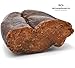 Bottarga Boreale - Cured Norwegian Cod Roe - 3.17 ~ 3.88 oz - Handmade in Arctic Norway