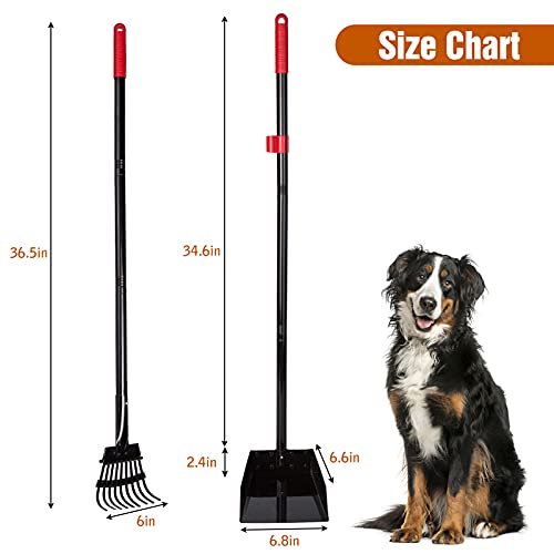 EXPAWLORER Large Dog Pooper Scooper Pet Metal Poop Tray and Rake with