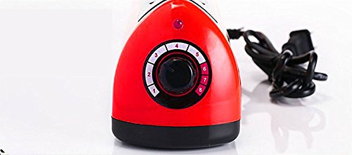 Amazin Deals 12" (300mm) Tabletop Poly Bag Impulse Sealer Adjustable Time with 5mm Replacement Element Grip and Teflon