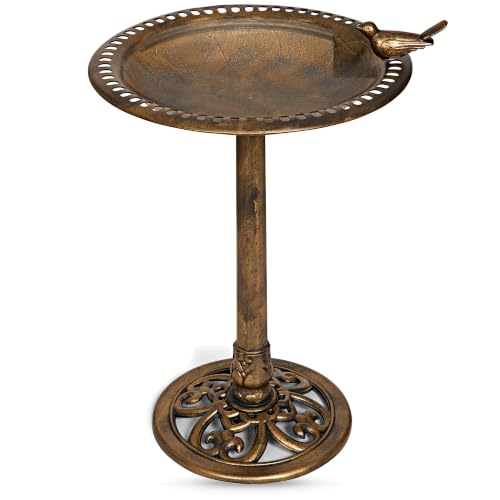 Backyard Expressions Pedestal Bird Bath