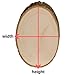 Walnut Hollow Basswood Round, Small 5-7