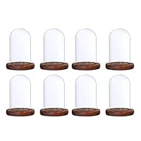 joyMerit 8Pcs Decorative Clear Glass Dome Cloche Bell Succulent Terrariums Air Plant Covers Flower Preservation Vase, Wedding Party Tabletop Decor