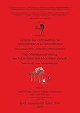 Fuel Management during the Palaolithic and Mesolithic Periods (BAR International Series) by