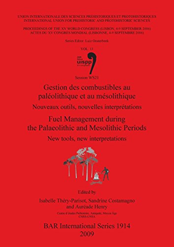 Fuel Management during the Palaolithic and Mesolithic Periods (BAR International Series) by Isabelle Thery-Parisot, Sandrine Costamagno, Aureade Henry