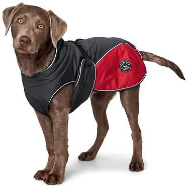 HUNTER Dog Coat Uppsala Cozy, 45 cm anthracite/red, Small - Image 4