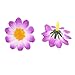 Topixdeals 100x Gerbera Daisy Flowers Heads for DIY Wedding Party (Purple with White)