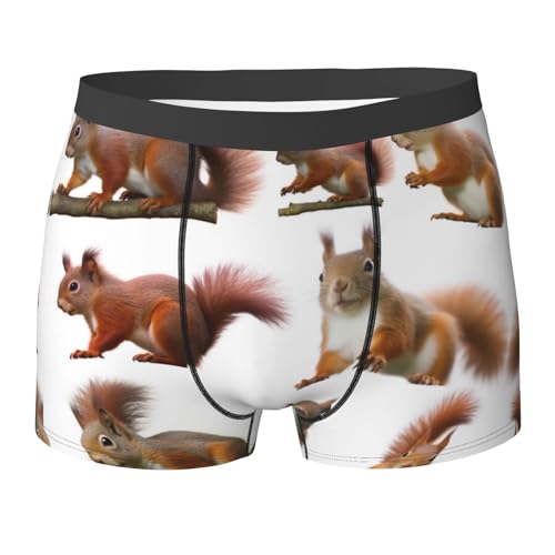 Cute Squirrel Print Men'S Boxer Briefs With Elastic Comfort Fit Design For All-Day Wear