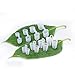 P & J Health - Snoring Aids New Package Nose Vents, Anti Snoring, Solve snoring issues perfectl (SET 8)