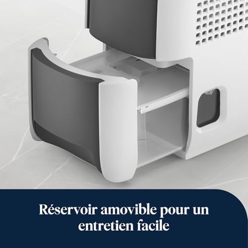 De’Longhi Tasciugo AriaDry Light - Déshumidificateur Portable pour la Maison, Zéolite et Ioniseur, Élimination Humidité 6L/24h, Séchage, Anti-Moisissure, Silencieux, Mode Swing, Minuteur, Gris (DNS65)