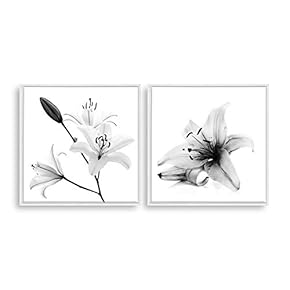 2 Piece Framed Canvas Home Artwork Decoration Transparent Flower Canvas Wall Art for Living Room, Bedroom - 16"x16"x2 Panels
