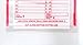 Cash Transmittal Bag 6 x 9