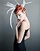 Mario Testino: In Your Face