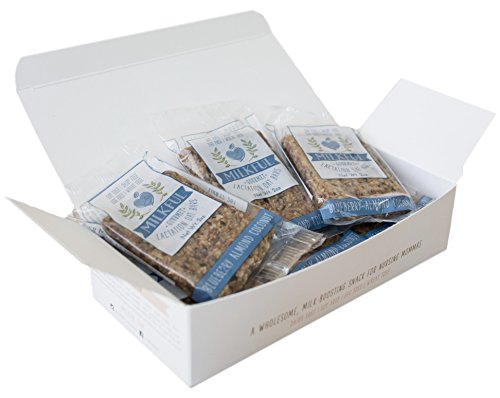 MILKFUL Lactation Bars, wholesome & delicious snack to support breast milk supply. 6 Bars. (Dairy Free, Egg Free, Soy Free, Wheat Free) (Blueberry Almond Coconut)